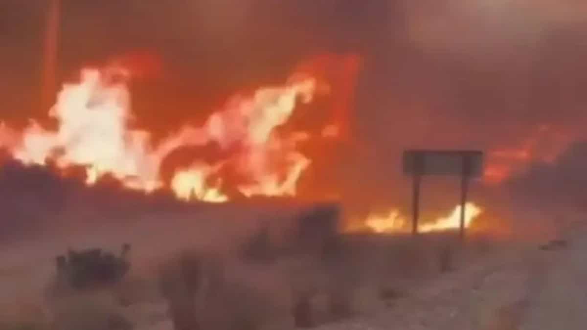 Spain Wildfire: स्पेन के जंगलों में लगी भीषण आग से भारी तबाही, 12 विदेशी नागरिकों के शव बरामद; 23 लापता, बढ़ सकता है आंकड़ा