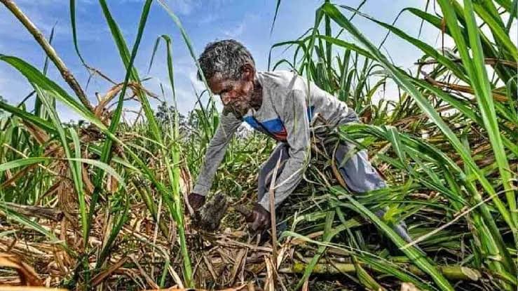 पेट्रोल के बाद अब चीनी पर महंगाई की मार! खुदरा बाजार में दाम पहुंचे 50-60 रुपये के पार