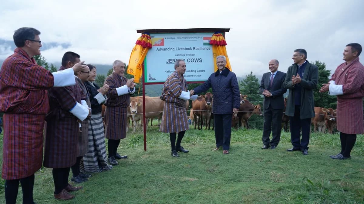 भूटान को भारत का अनूठा तोहफा: एस जयशंकर ने सौंपी 43 जर्सी गायें, 40 हजार किसानों की बदलेगी किस्मत