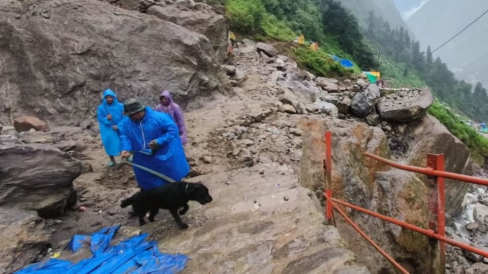 उत्तराखंड: कालिंदी पास से 67 ट्रेकर्स सुरक्षित निकाले, केदारनाथ-वासुकीताल ट्रैक पर 2 PAC जवानों समेत 5 लापता