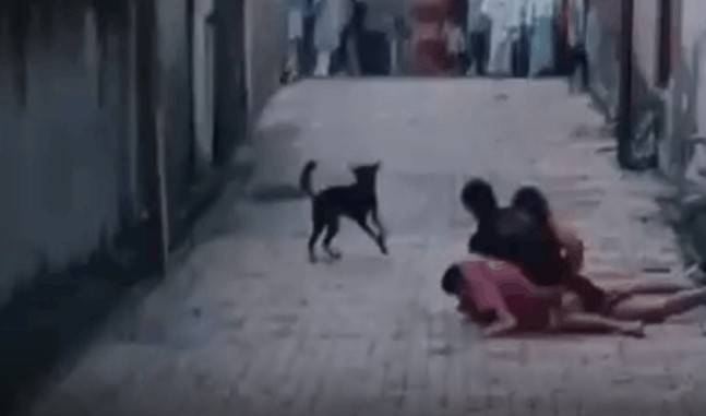 'छोड़ दो, जान से मार दोगी क्या?' गिड़गिड़ाता रहा पति, पत्नी कसती रही चुन्नी का फंदा; सामने आया रूह कंपाने वाला मामला