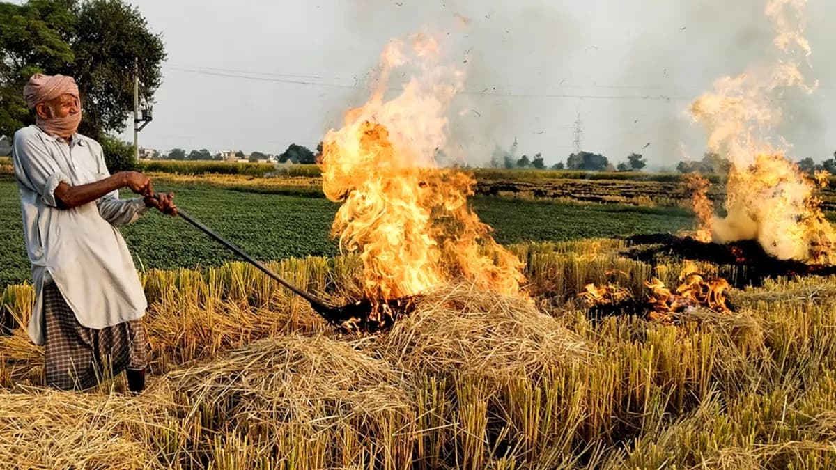 बचने के लिए सिर्फ 25 दिन! पराली पर केंद्र का सबसे सख्त रुख, 5 राज्यों को दी अंतिम चेतावनी!