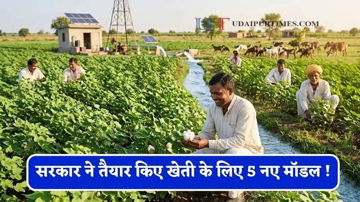 कम पानी में खेती को मिलेगा पोषण, काजरी और सरकार की पहल से खेतों की सेहत सुधारने की तैयारी