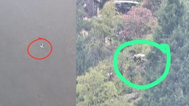जोशीमठ हेलिकॉप्टर क्रैश में सभी छह मृतकों की पहचान, बेंगलुरु के सभी पांच यात्री, दिल्ली का पायलट